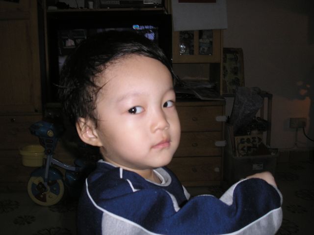 ˵