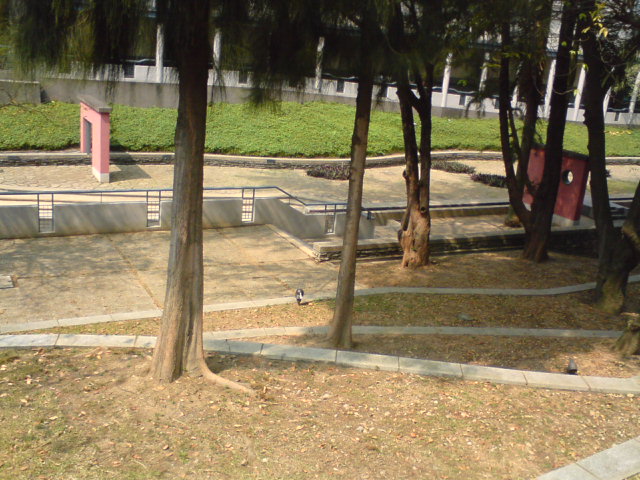 ˵